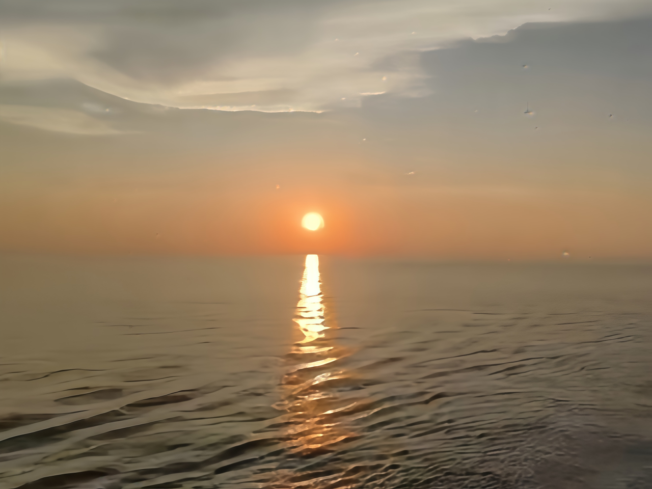 5a9d43c6004b201a420648c1004a2517.png